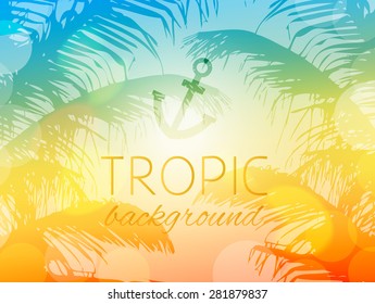 Summer tropical sky sunset background with palm trees and sunshine