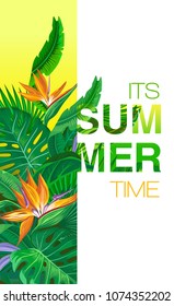 Summer tropical vector backgrounds with tropical palm leaves, plants.  Negative space trend.  Summer placard poster flyer invitation card. Summer time.