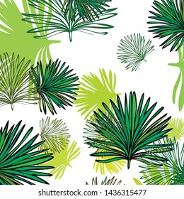Summer tropical vector design for banner or flyer with exotic leaves.