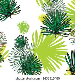 Summer tropical vector design for banner or flyer with exotic leaves.