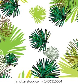 Summer tropical vector design for banner or flyer with exotic leaves.