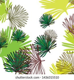 Summer tropical vector design for banner or flyer with exotic leaves.