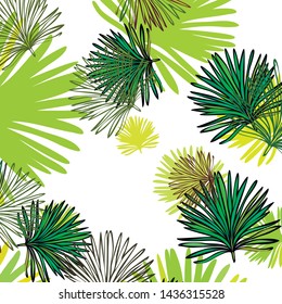 Summer tropical vector design for banner or flyer with exotic leaves.