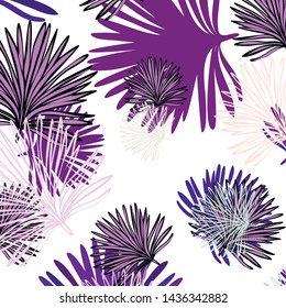 Summer tropical vector design for banner or flyer with exotic leaves.