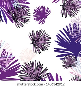 Summer tropical vector design for banner or flyer with exotic leaves.