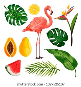 Summer tropical vector design elements set, isolated on white background. Cartoon illustration of flamingo, palm leaves and exotic fruits.