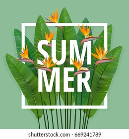 Summer Typographical Background With Tropical Plants And Flowers. Vector