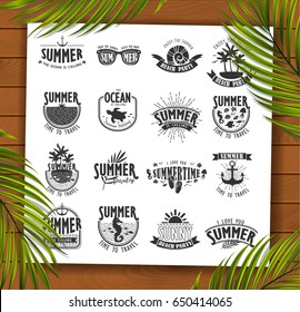 Summer Typography Design Collection - A set of sixteen vintage style Summer Designs on wooden background with palm leaves