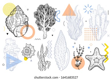 Summer underwater life set with geometric memphis style shapes. Cool trendy elements for travel banner, music cover, fashion print.  Sea shell, seaweed, starfish vector illustration isolated on white