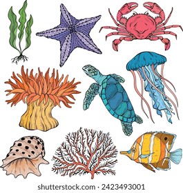 summer underwater set. Various shell, algae, turtle, crab, crayfish, jellyfish shell coral starfish anemone Vector illustration