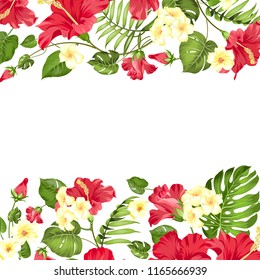 Summer vacation card. Tropical flowers of plumeria and hibiscus at the label. Tropical palm branches with text space on the center of the image. Vector illustration.