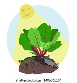Summer vacation concept.  Vector illustration with mouse, worm and frog  in children's style.  Vector flat cartoon illustration isolated on white background.