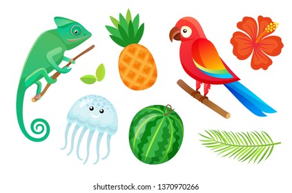 Summer vacation, exotic animals, fruits and plants isolated vector. Gecko and pineapple, jellyfish and watermelon, parrot and hibiscus flower, palm leaf