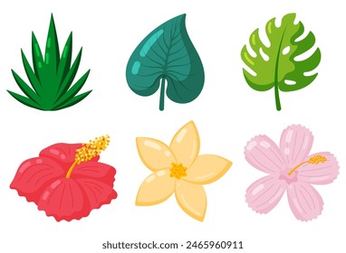 Summer vacation flowers. Tropical flowers and palm leaves. Flat vector illustration, white background.