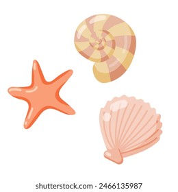 Conjunto de vacaciones de verano de conchas aisladas sobre fondo blanco. Ilustración vectorial plana.