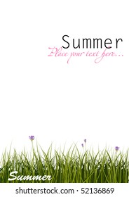 The summer vector