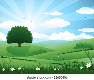 Summer Landscape Forest Clearing Trees Bushes Stock Vector (Royalty ...