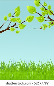 summer vector background.