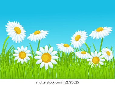 summer vector background.