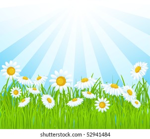 summer vector background.
