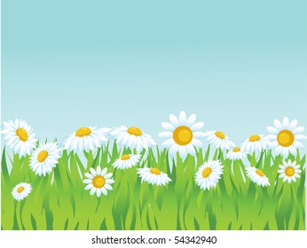 summer vector background.