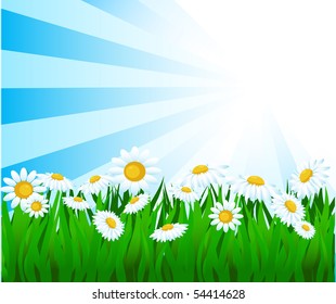 summer vector background.