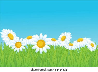 summer vector background.