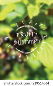 Summer vector background with black currant 