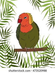 Summer vector background with colorful parrot. Lilian's lovebird