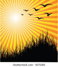 Summer vector background - grass, birds and sunset