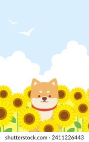 fondo vectorial de verano con un perro shiba y girasoles en el cielo para carteles, tarjetas, volantes, fondos de pantalla de medios sociales, etc.