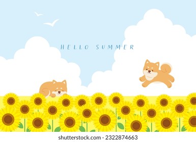 summer vector background with shiba dogs and sunflowers on the sky for banners, cards, flyers, social media wallpapers, etc.