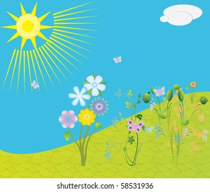 summer vector background, sky in clouds and a green