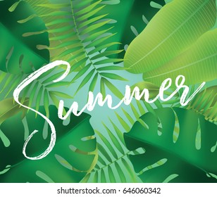 Summer. Vector background with typography for posters and banners. Illustration with tropical leaves and sun.