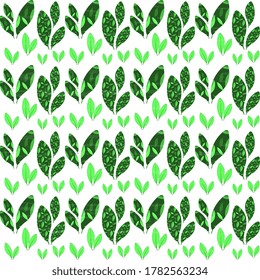 Summer vector design. Seamless pattern with green colorful foliage on a white background, handmade, textured. Natural illustration.
