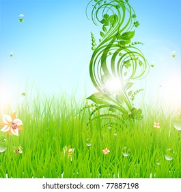 Summer vector grass wallpaper with flowers, ladybird, drops and sun shine. eps 10.