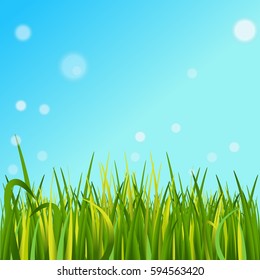 Summer. Vector illustration