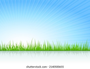 Summer vector illustration background with grass