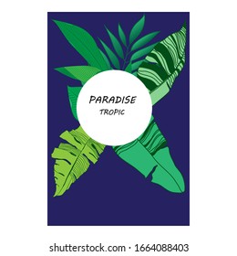 Ilustración vectorial de verano con hojas y elementos tropicales brillantes. Las plantas extraídas a mano de fondo exótico son perfectas para impresiones, volantes, pancartas, invitaciones, redes sociales.