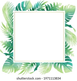 Summer vector illustration frame of several kinds of plants