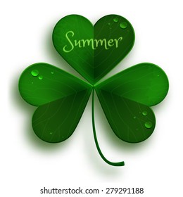 Summer vector illustration green realistic leaf
