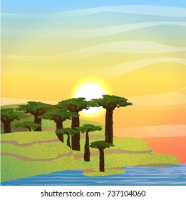 Summer vector landscape with hills, a lake and baobabs. Africa. Sun, clouds and sky at sunset.