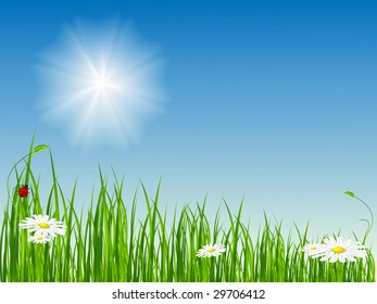 summer vector scene on the fresh meadow. No mesh used