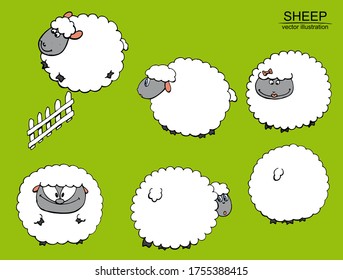 Summer vector set of hand drawn funny sheeps.  Elements isolated on green background.