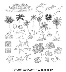 Summer vector set tropical plants and water animals. Island with palm among ocean, different dolphins seagulls fish and other underwater inhabitants. Black white sketch illustration collection.