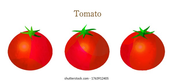 summer vegetables , red tomatoes , vector illustration