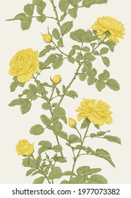 Summer vertical seamless pattern with yellow roses. Floral vector illustration. Colorful print.