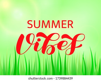Summer Vibes brush lettering. Vector illustration for banner