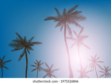 Summer Vibes. Hand drawn lettering on background with palm leaves. Design elements for poster, flyer. Vector illustration