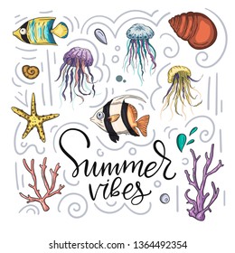 Summer vibes lettering quote with jelly fishes, coral, shell starfish. Marine life. Sea background vector illustration.